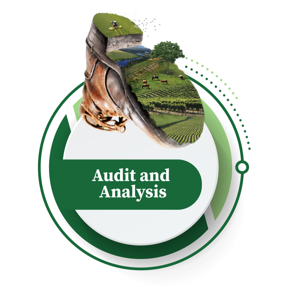 Audit and Analysis